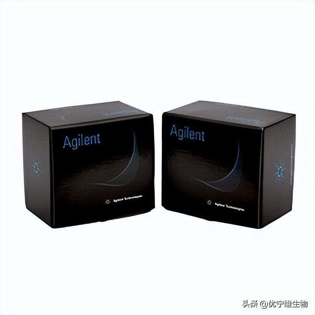 crisprcas9如何设计,crisprcas9应用实例