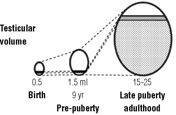 男性青春发育迟缓的表现,生长迟缓的烦恼