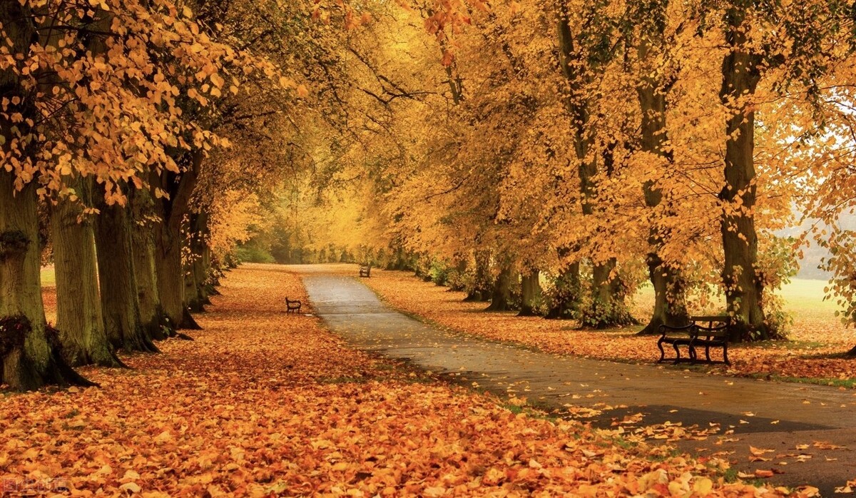 秋天的苏州必去的景点,苏州秋天小众景点推荐