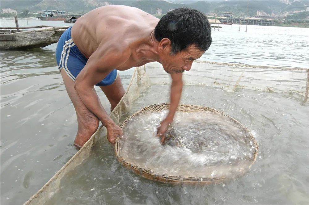 津门网郭冀华：水上古村落——大塘渔村