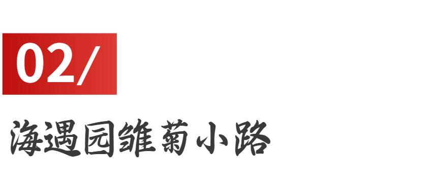 青岛最值得去的拍照打卡地,青岛最适合拍照的十个地方