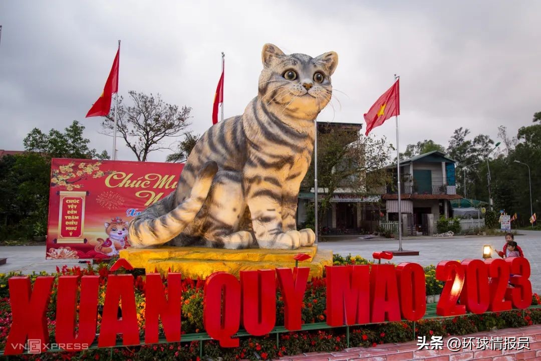 猫为什么没有入选十二生肖,越南为什么把兔年叫猫年