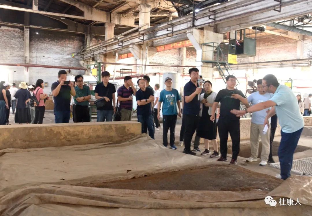 杜康参观,杜康酒厂参观