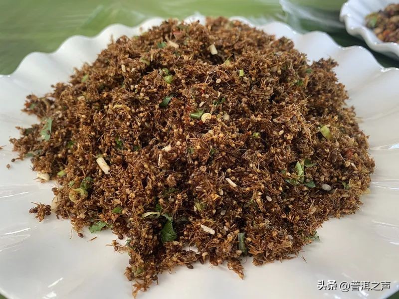 有一种味道叫普洱丨花吃够了，该吃虫了！