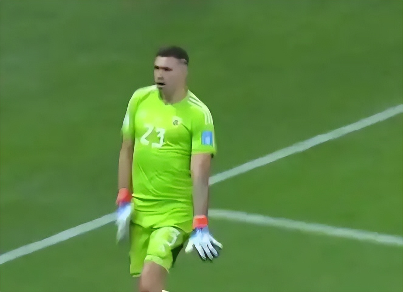 阿根廷夺冠运动员,阿根廷夺冠球员基本情况