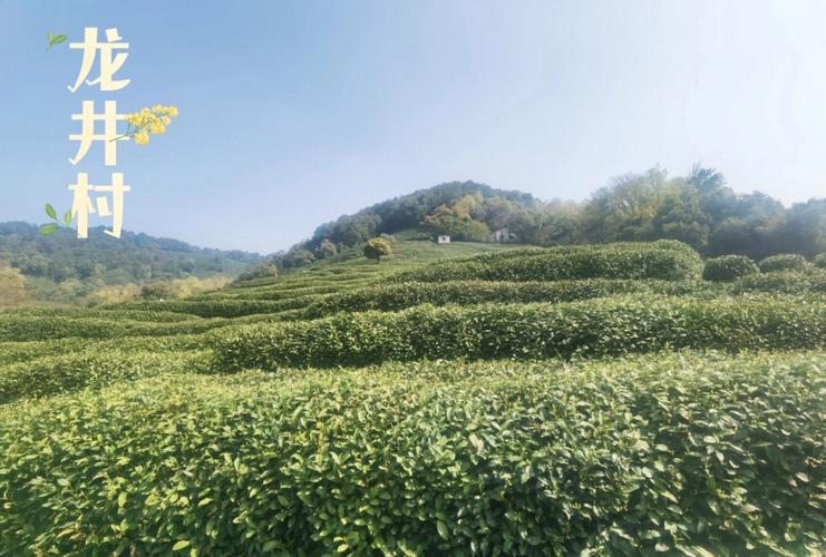 必玩十大景点杭州旅游攻略,南京杭州旅游景点攻略