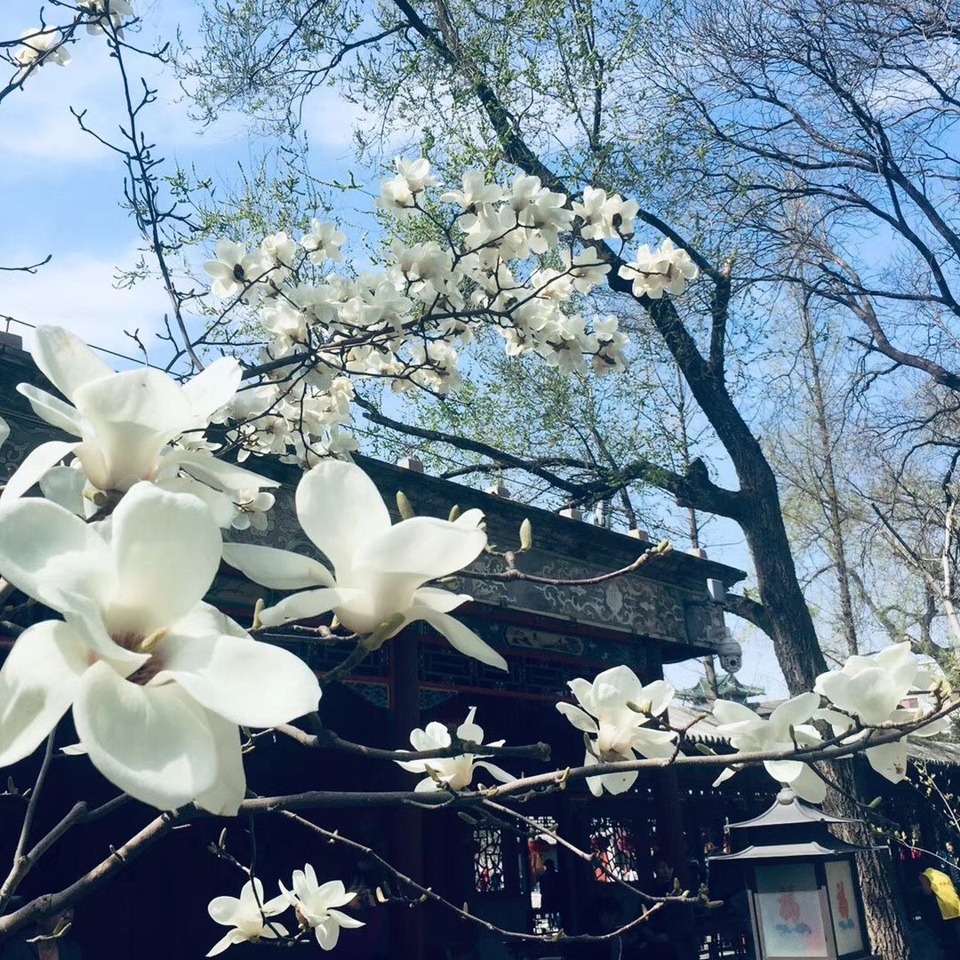 看起来温柔实际上凶猛,看起来温柔实际上很狠