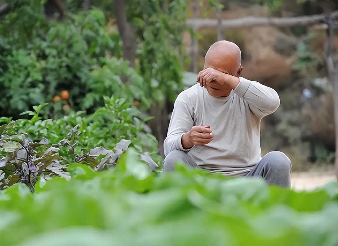 我国首批丁克族老年生病无人照顾,最早丁克族的真实现状