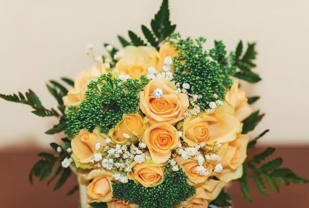 黄玫瑰代表什么含义,黄玫瑰歌曲