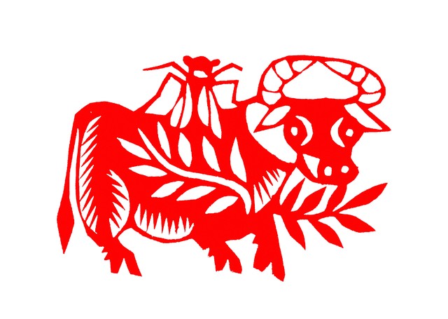 生肖属牛的人是家中之宝,属牛人一生最旺的年龄