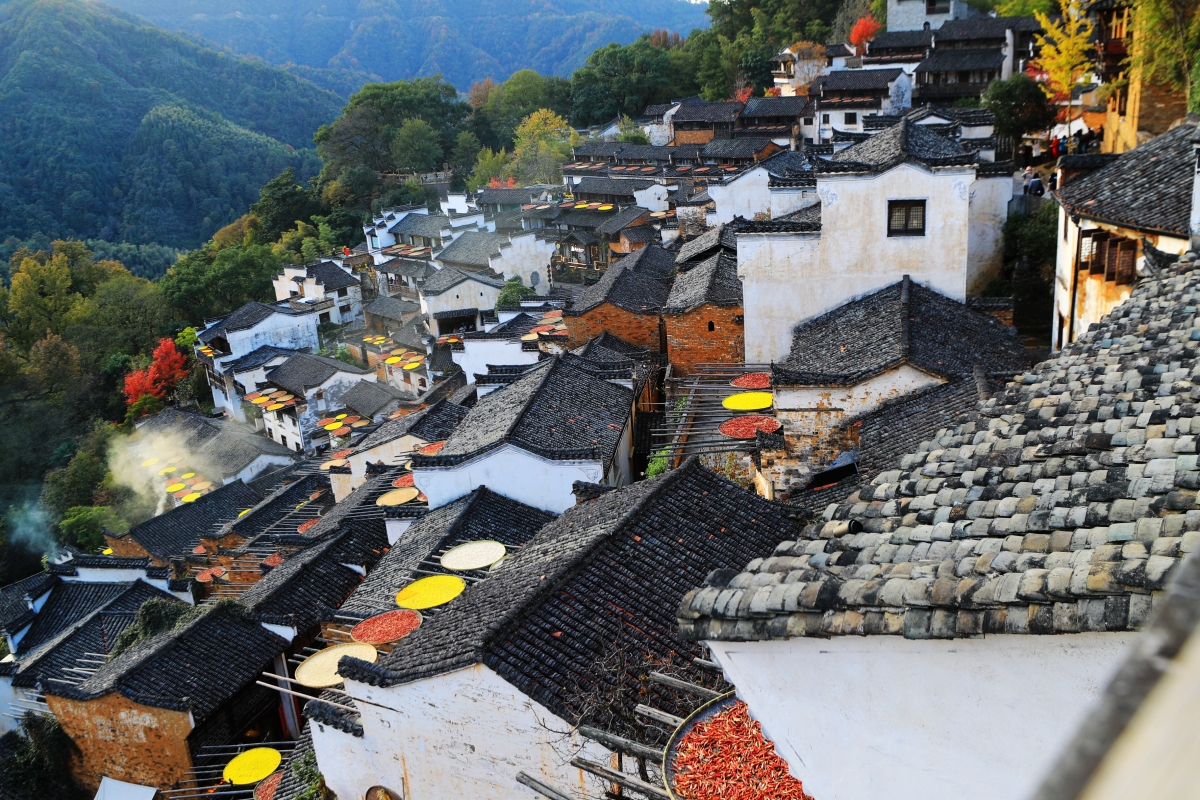 江西婺源玩四天多少钱,江西婺源五天四晚旅游