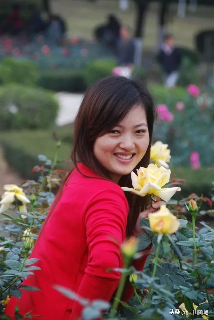 五月的玫瑰小说,五月的玫瑰情书