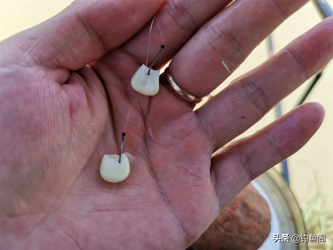 钓鱼最省钱的渔具,钓鱼最普通鱼饵有哪些