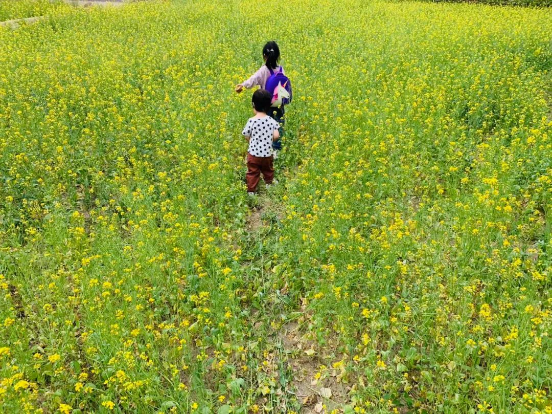 海淀家长为什么那么焦虑,海淀小学生有多累