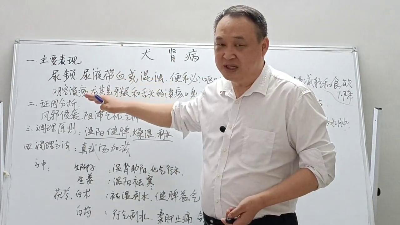 家庭养犬合理布局,养犬要注意什么