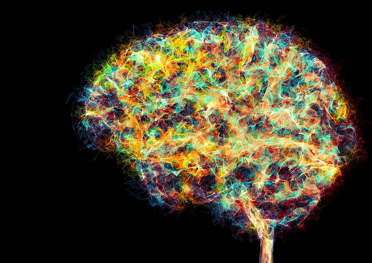 美国救活5个小时死亡的猪,美国科学家做的复活实验