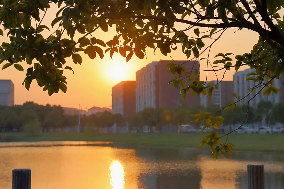 江西科技师范大学在南昌哪个位置,江西科技师范大学是公立嘛