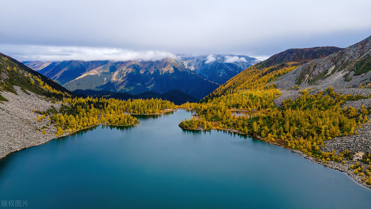 领导干部当网红现象分析,领导干部带货变成网红