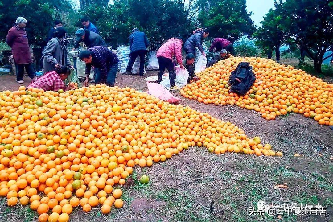 岳池旅游景点大全推荐,行走的美景