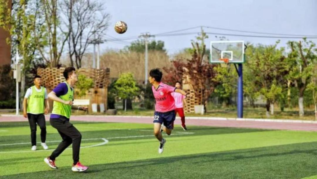 北京中学国际部课程体系,北京中学国际部怎样