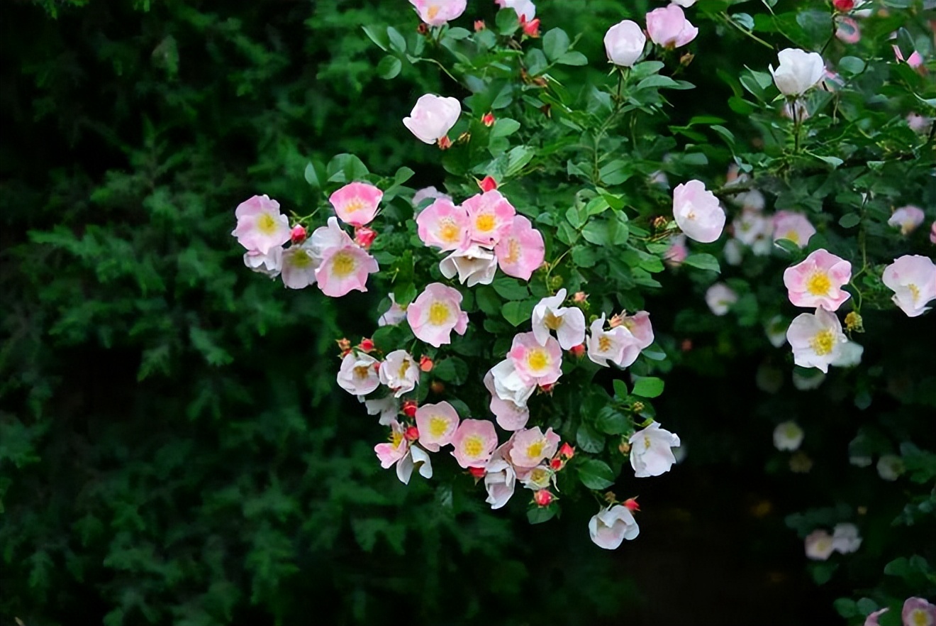 济南这些旅游景区可半价或免费游,济南11家景区将免费