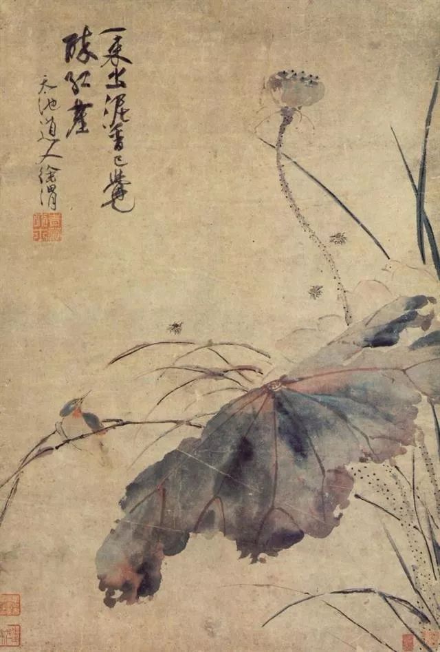 古诗词中荷花的意象思乡,荷花在古诗中表达的情感