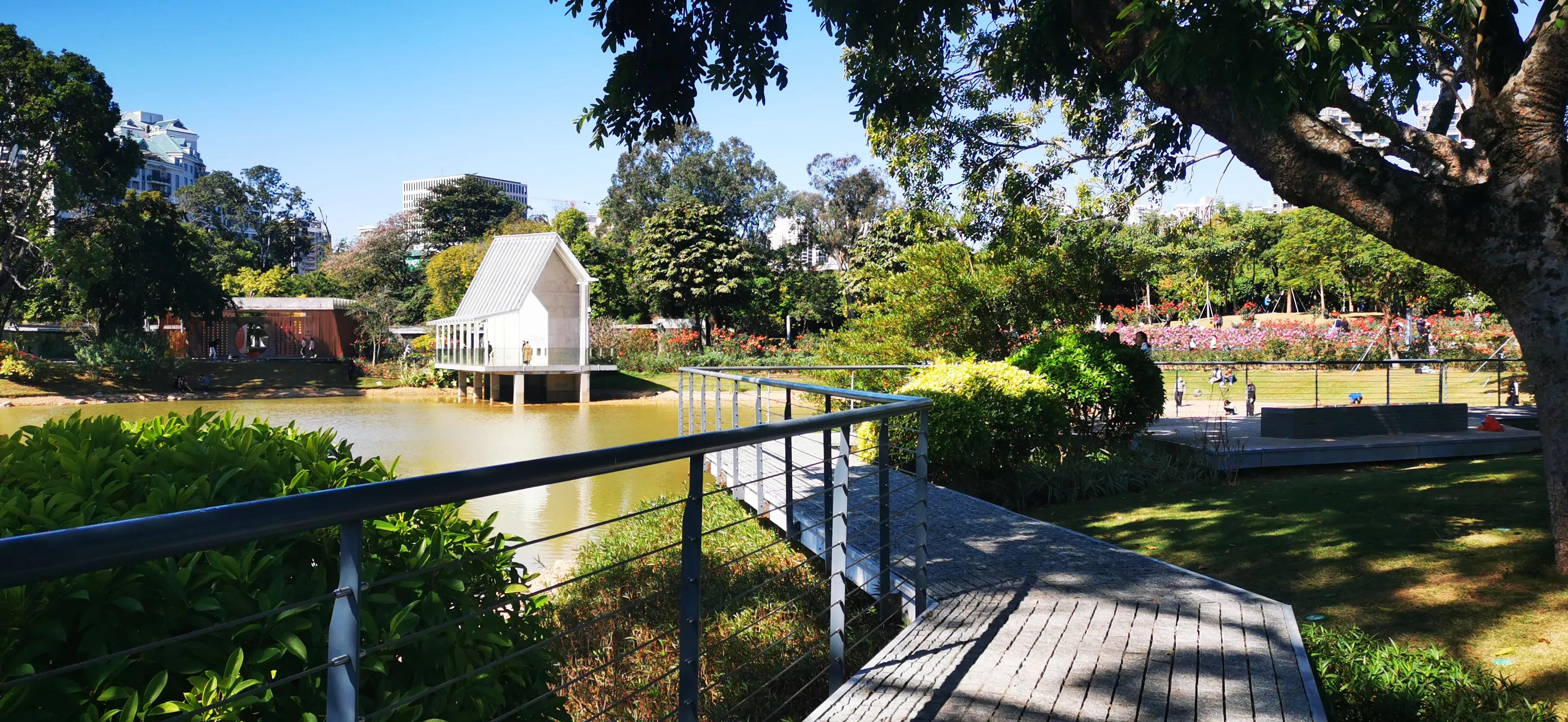 这才是深圳最值得打卡的十大景区,深圳莲花山公园赏花打卡地推荐