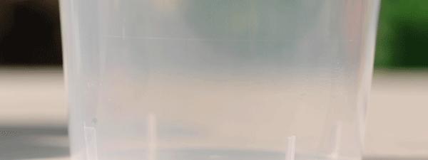 锦鲤茶是什么样子的,满杯锦鲤茶是什么茶