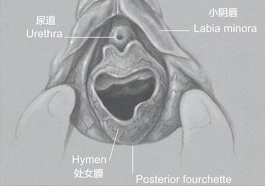 揭秘处女座内心秘密,处女座的大揭秘