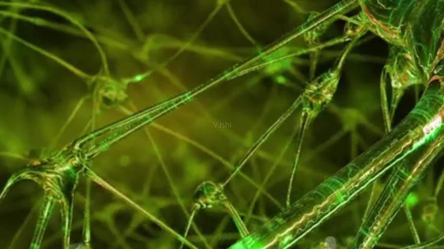 桥本甲状腺炎中医解释,中医对桥本氏甲状腺炎的认识