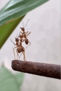 林俊杰虚拟世界别墅,虚拟世界林俊杰