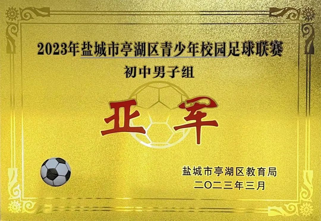 亭湖新区初级中学中考喜报,盐城亭湖初中喜报