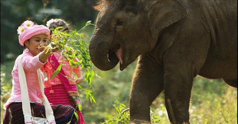 中秋节去云南旅游景点攻略,云南中秋旅游景点大全