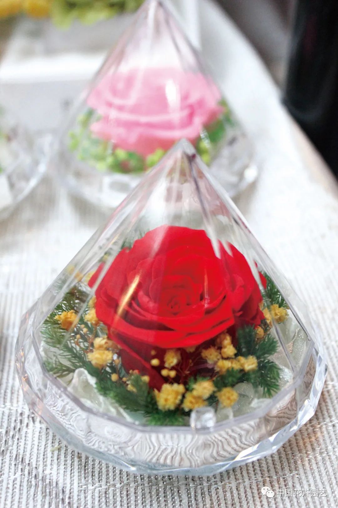 云南产地鲜花永生花,云南永生花