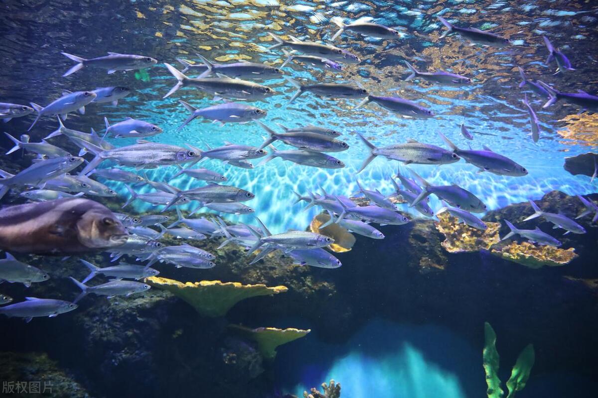 成都必去十大景点美食,成都带孩子必去十大景点