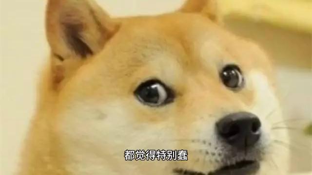 淘宝不死实体经济不活是否有道理,怎样看待淘宝本质