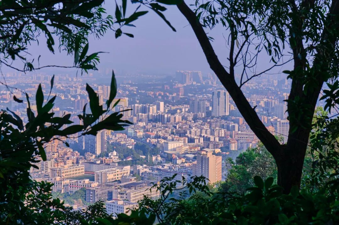 广州最中心的区,广州最不方便的区