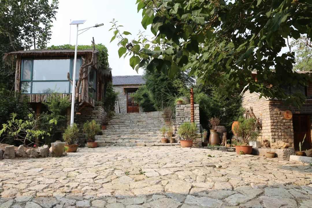 莱芜高庄旅游,莱芜高庄一日游玩攻略