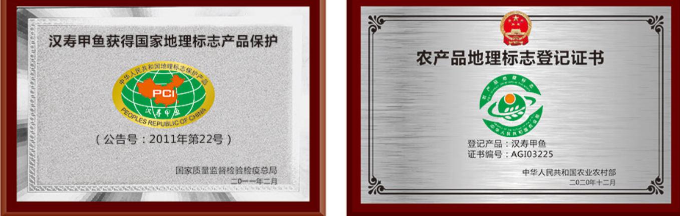 最顶级的湖南汉寿野生甲鱼,汉寿正宗外塘甲鱼