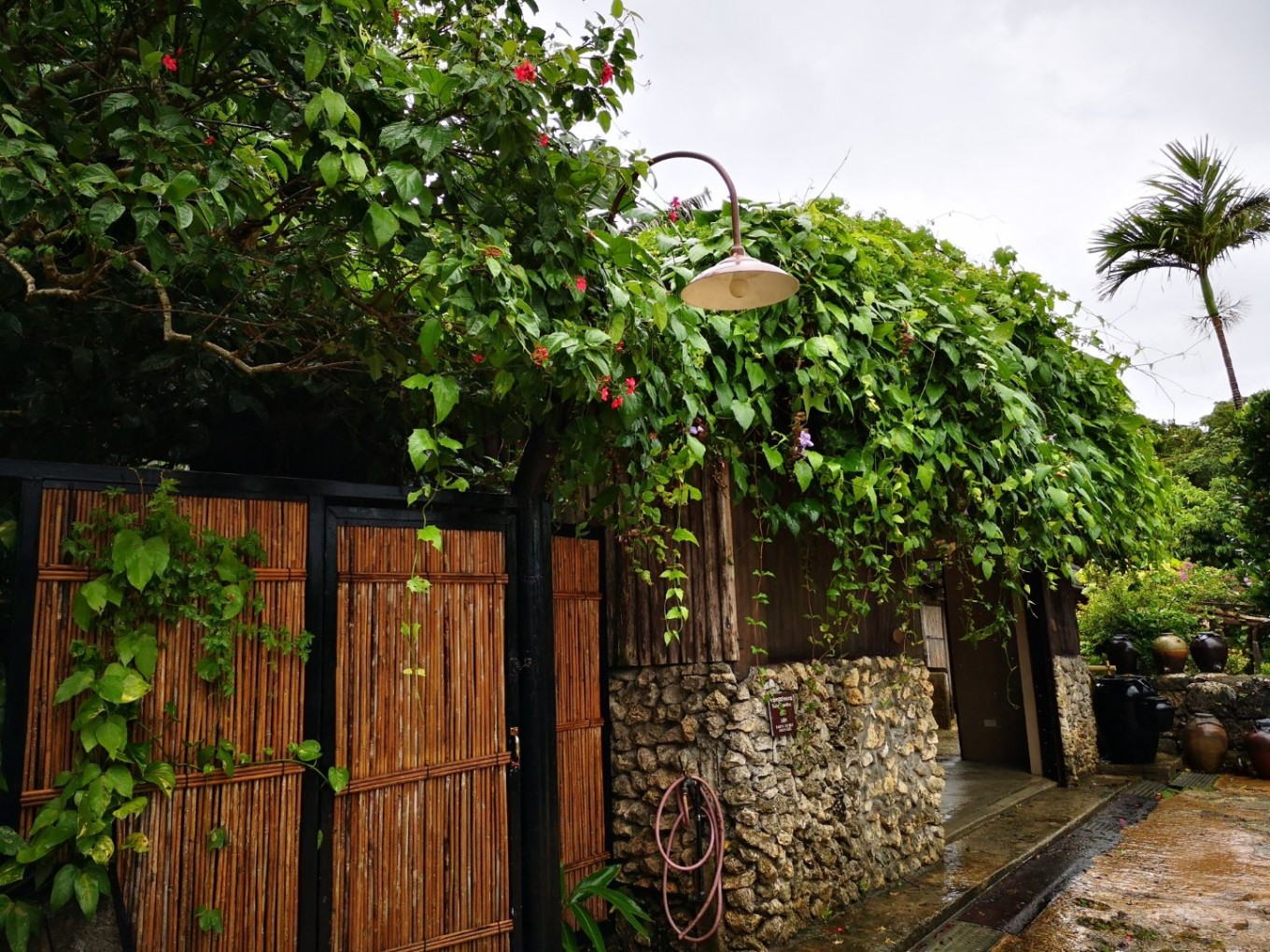 暑期档2019年,2019年暑期档