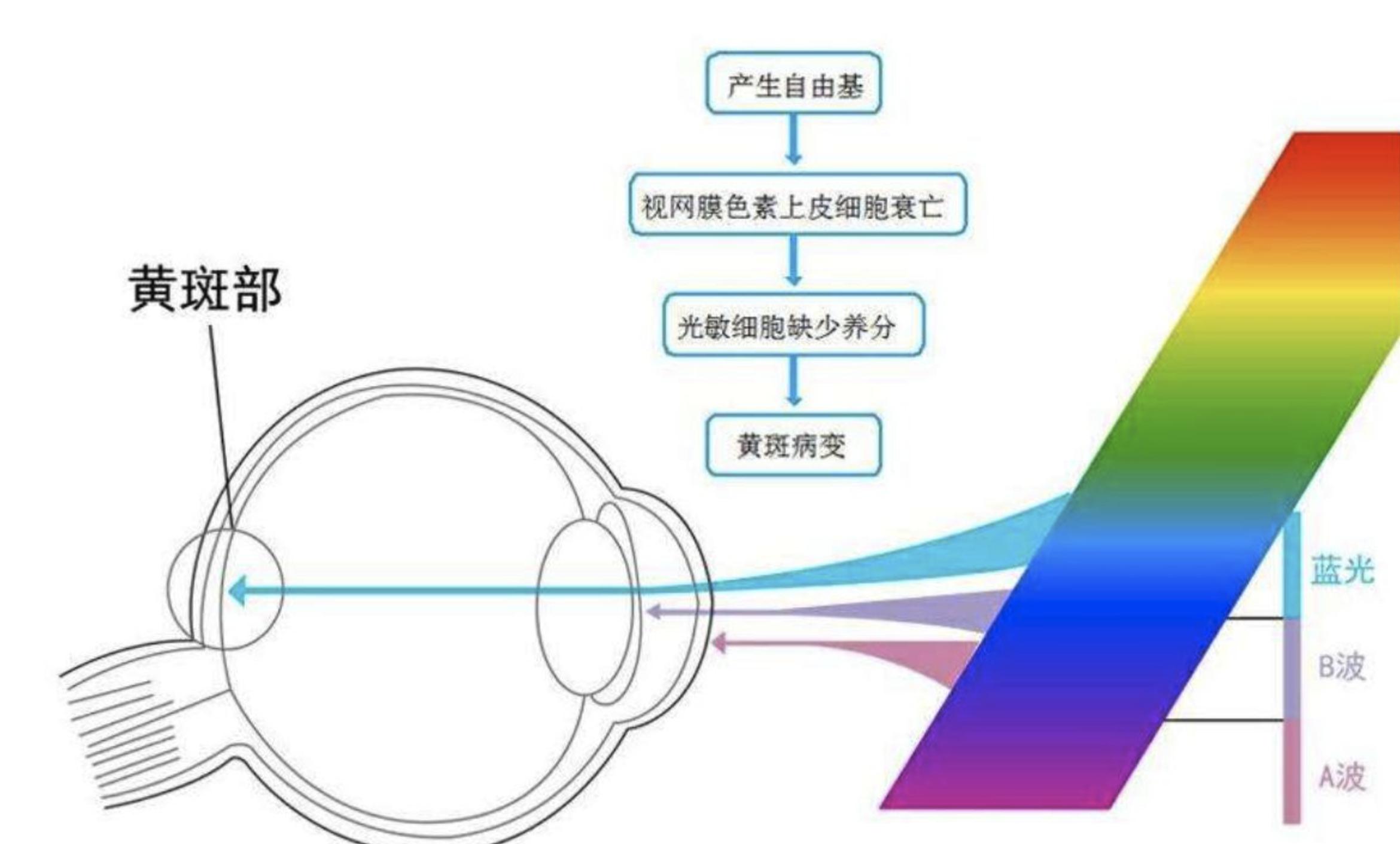 一个月体验49英寸这个尺寸显示器，才是桌面的“王者”