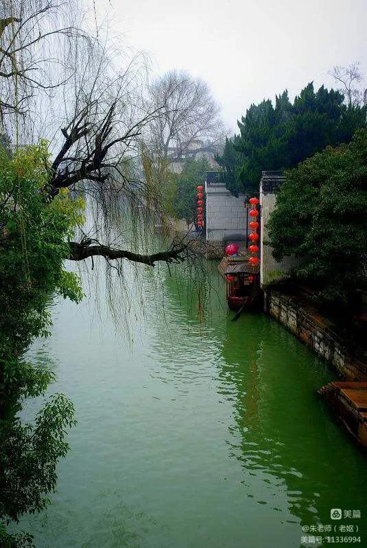 春意盎然七绝诗,七绝春韵100首