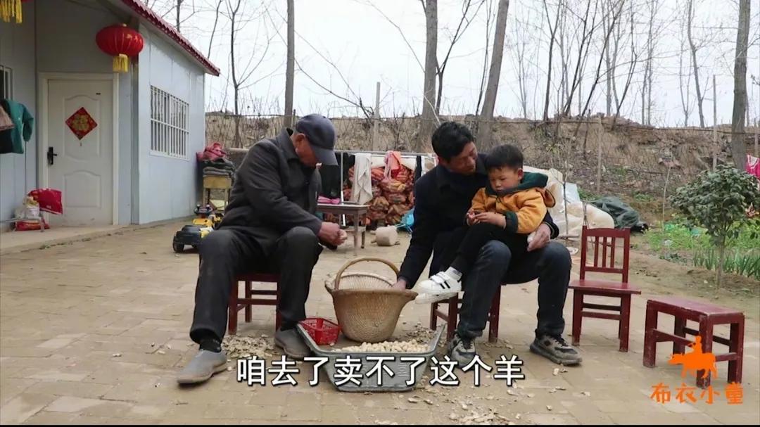 小牧套路大爷爷买羊,小牧卖羊视频