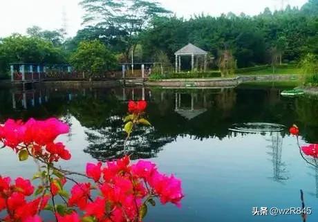 深圳宝安公园一日游攻略,深圳旅行日记十三集