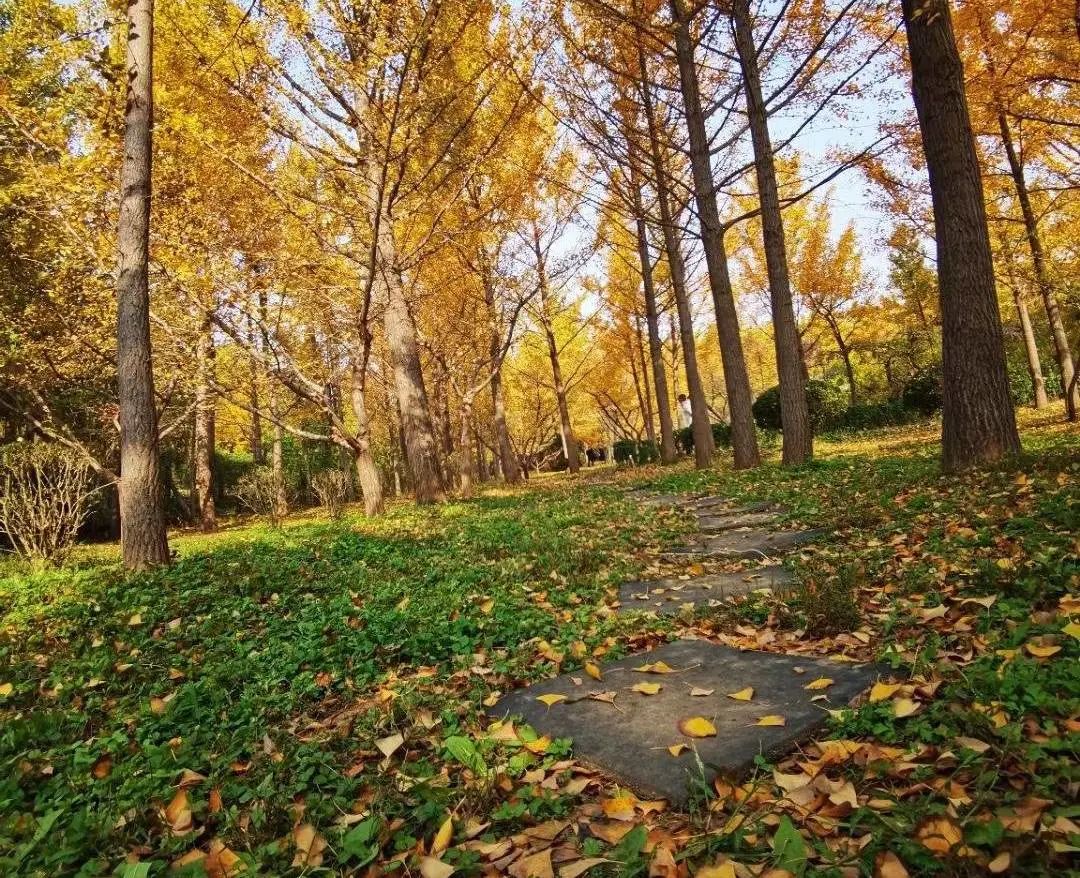 男友在网上撩妹该不该原谅,男朋友在网上和别人暧昧算出轨吗