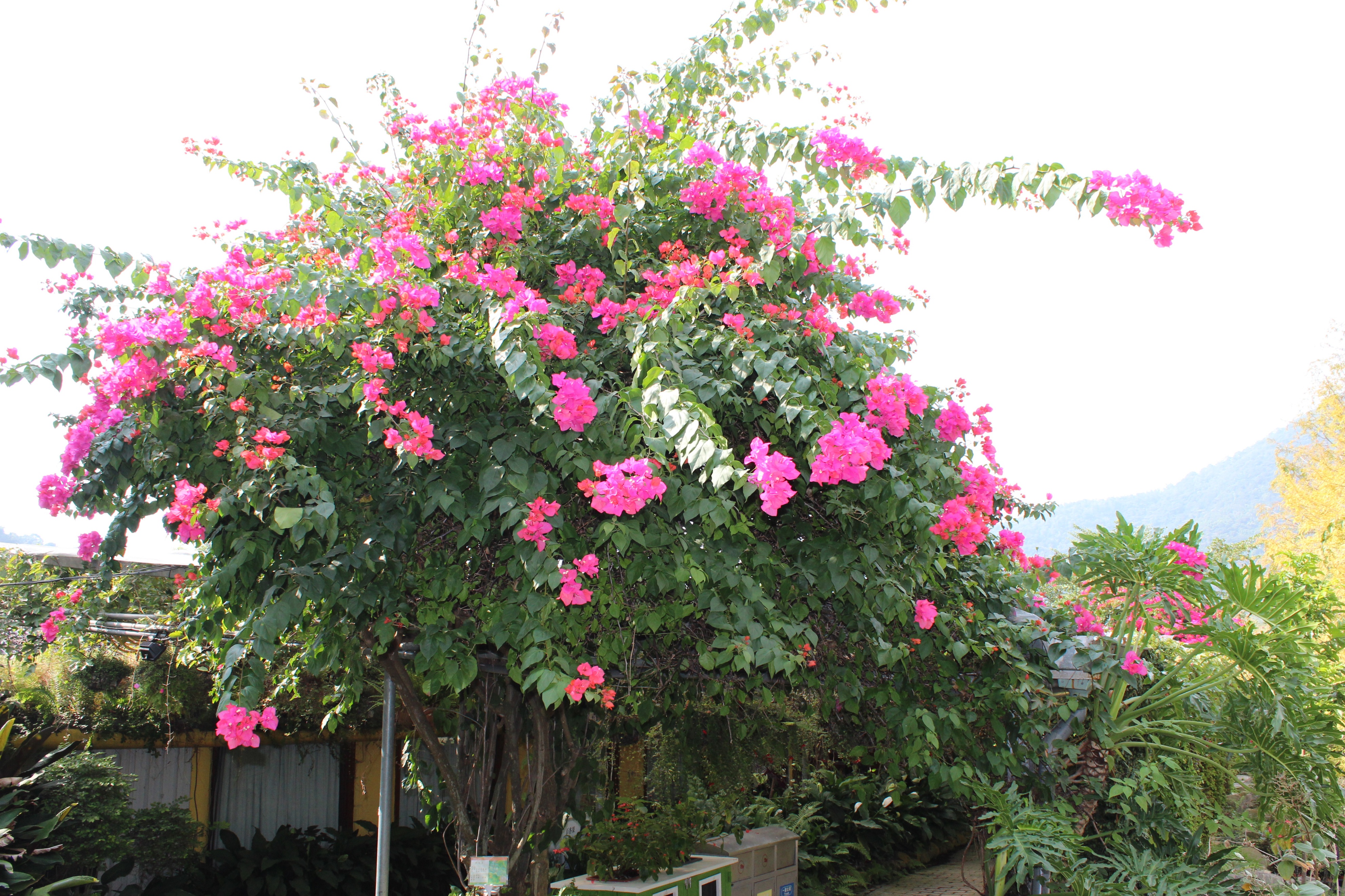 2017最全台湾购物攻略,台湾宝岛购物攻略