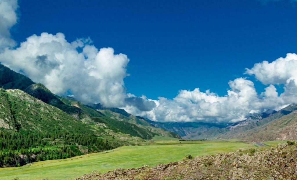 阿尔泰山有哪些国家,中国阿尔泰山在哪里