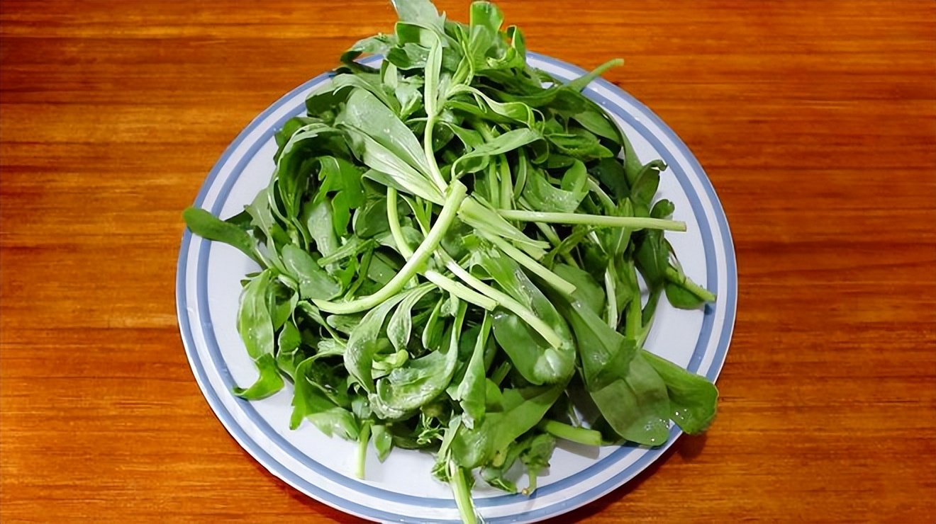 春季4种野菜常吃养肝护肝,春季养肝护肝排毒蔬菜