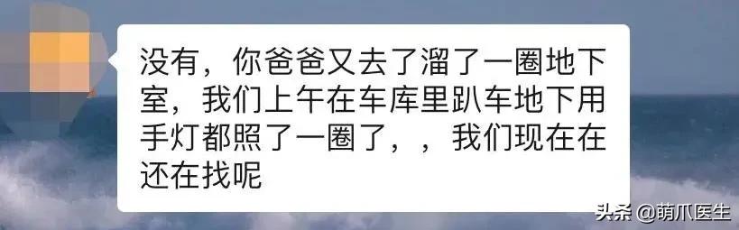 我的猫丢了拿回来要钱怎么办,我的猫丢了隐晦的意思
