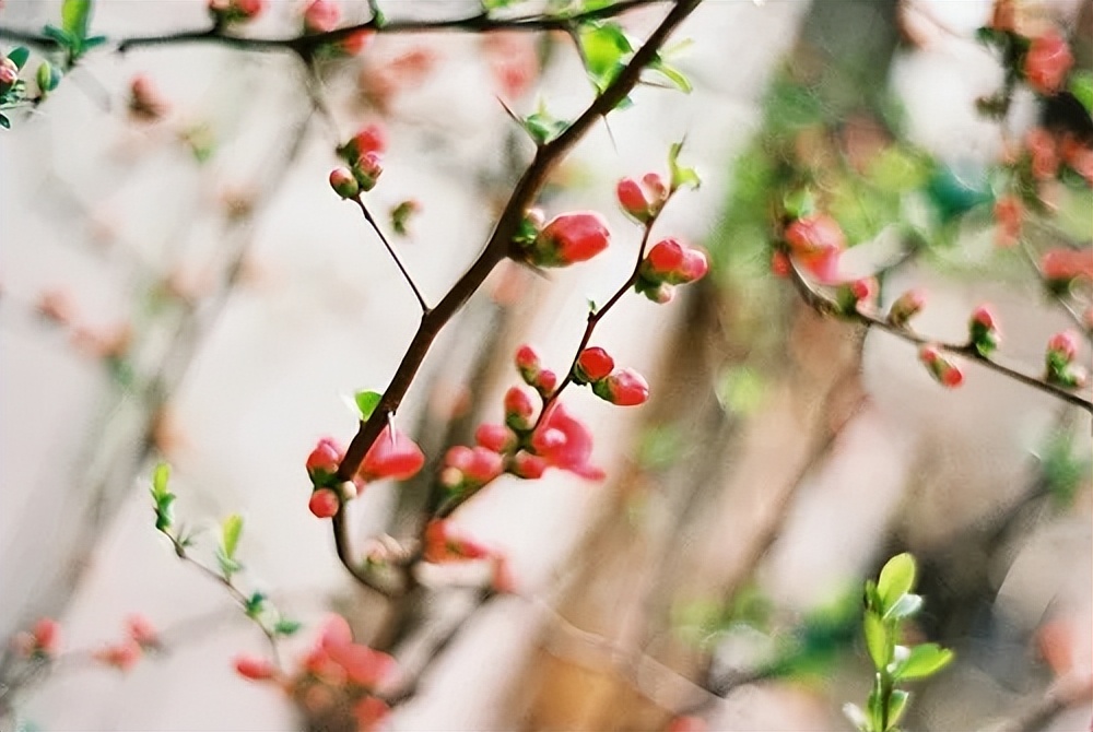 男人对你冷淡时正确的做法,男人对你冷淡了教你两招终身受用